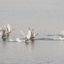 선제농장 이미지