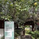 대동세무고등학교 | [계동 가볼만한 곳] 모두의 갤러리 작은쉼터갤러리 한옥 투어/북촌마을서재