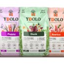 에떼소프트 이미지