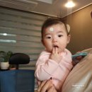 달쥬마켓 | 20년 11월 달쥬언니 일상로그