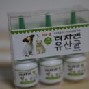 더자연건강 이미지