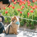 (주)에듀펫 이미지