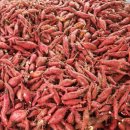 포전영농조합법인 이미지