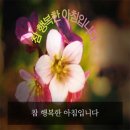 행복한 아침 이미지