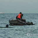 만인여행사 이미지