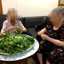 새날요양원 이미지