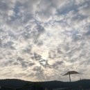 육하원칙 이미지