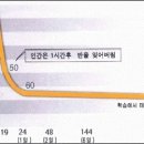 영어(초중급) 이미지
