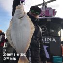 팀인천루키나호 - 중구 연안부두로33번길 7 | 팀인천루키나호