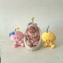 7217 | [대전 원신흥동] 대전 찬란스튜디오 쌍둥이 50일 촬영 후기