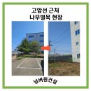 소나무부분정비 | 이천 전지작업 전문/ 회사 화단 향나무, 소나무 전지 깔끔하게 진행한 후기