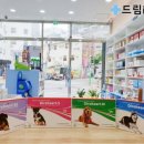 드림동물약품 이미지