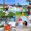 [경북/경주]경북키즈펜션 아이랑경주 키즈풀빌라 사리풀빌라 새싹동 봄맞이 여행은 여기