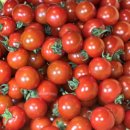 광선농장 이미지