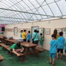 매현초교 이미지