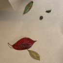 만성로2 이미지