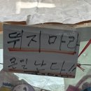또또문구 - 경주시 황성로69번길 27-1 | 또또문구