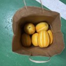 안산동믿음지역아동센터 이미지