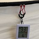 동백관 | 보령 용두해수욕장 &#34;동백관 숲속야영장&#34; - 바다가 보고 싶다면 .. 오두막7.8