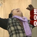 동물식물 자연과학교실 | 2025 생물분류기사(식물) 실기 후기