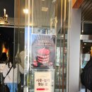 스피드넷 | 2026/03/23 대전 성심당 스피드런?! 1시간 30분만에 성심당 본점, 케익부띠크, 시루케익 전문점, 롯데...