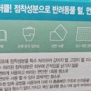더클 이미지