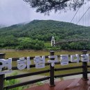 연하엽구름다리 이미지