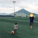 웅상체육공원 축구장 이미지