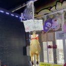 [인천/부평] 부평놀거리 추천 엔터파크 게임장 방문기