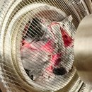 청수13로 | 청수식당 오산시청점 오산맛집 선별 돼지모듬한판과 이베리코 꽃목살 가족외식 후기