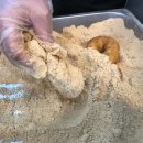콩꼬물꽈배기 - 시흥시 서울대학로278번길 25-24 | 콩꼬물꽈배기