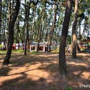 춘장대나드리캠핑장 이미지