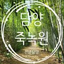 죽녹원 이미지