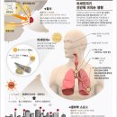 파리기후협정 체결--＞이산화탄소등 환경관련주 총출동 이미지