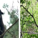 사람과자연 이미지