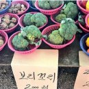 로아블리 네이버블로그