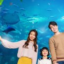 (주)보고아쿠아 이미지