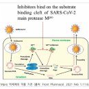 목동정문약국 이미지
