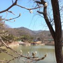 태조산 공원 이미지