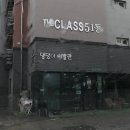 댕댕이이발관 이미지