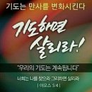 백석대학교 신학대학원 이미지