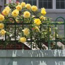 하대동346 | 지은지 25년 노후주택 옥상방수부터 진주 하대동 단독주택 슬라브 옥상 스틸방수공사 후기