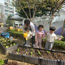 초록동행, 식물일기 | ​🌱 [식목일 특집] 초록초록한 용산 꼬마 정원사들의 봄맞이 일기~😉