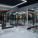 헬스 바디 라인업 이미지