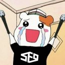 와글와글보세