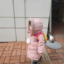 탄방대한약국 이미지