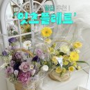 잇츠플레르