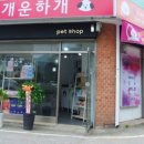 개운하개 이미지