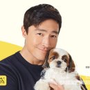 캣터링