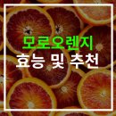 간편하게 섭취 가능한 모로오렌지 추천, 효능, 효과